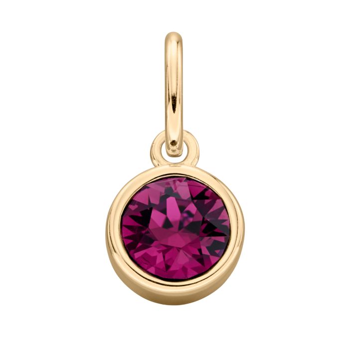 GKO Crystal Birthstone Charm incl Chain Amethyst (February)